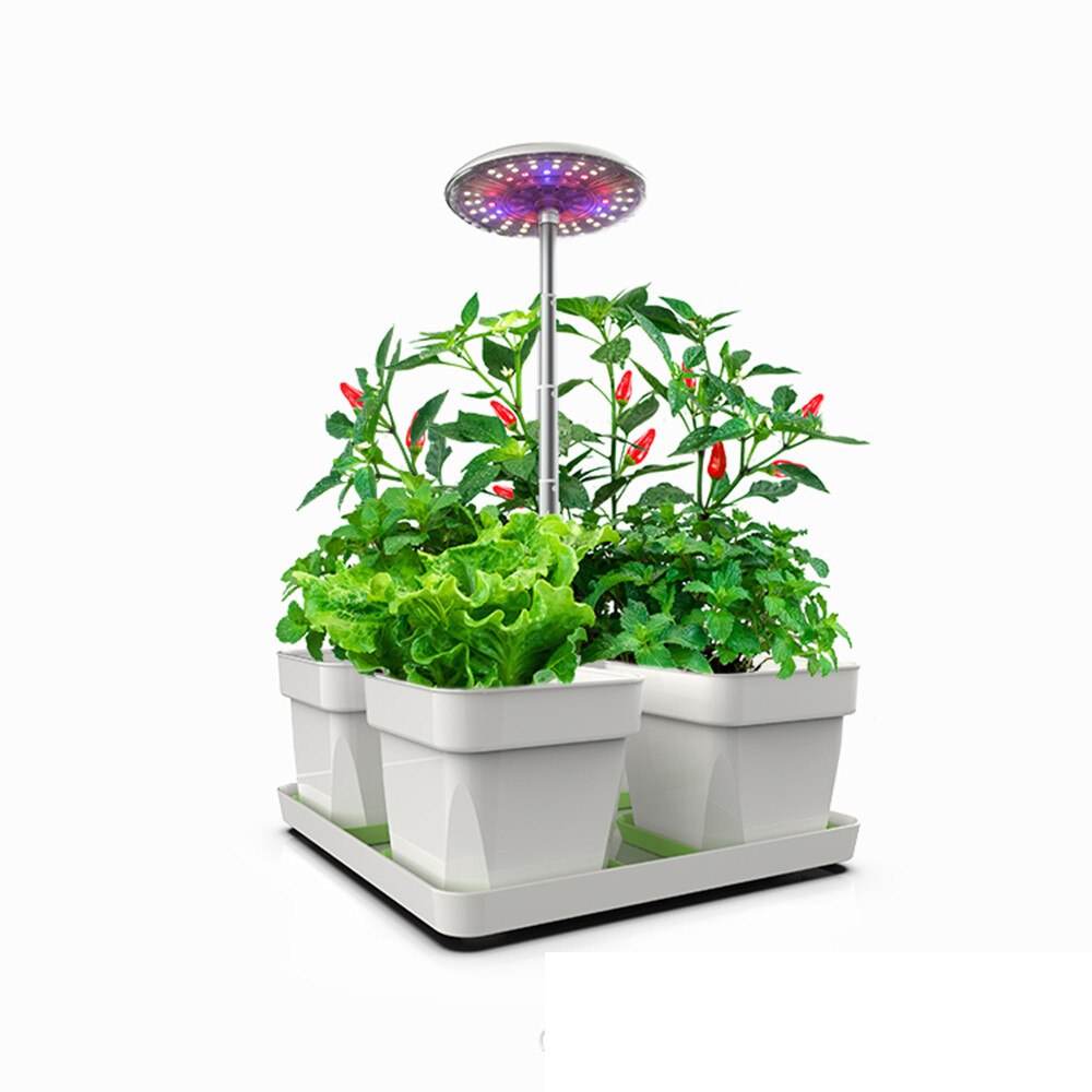 Hydroponics Growing System Indoor Herb Garden Starter Kit With Timer Control Led Grow Light Smart Nursery Pot For Home Kitchen