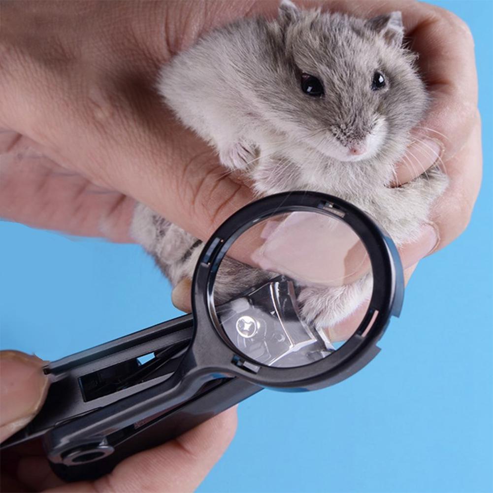 Hobbylane lille sømklipper til kæledyr med forstørrelsesglas til hamster pindsvin chinchilla marsvin: Default Title