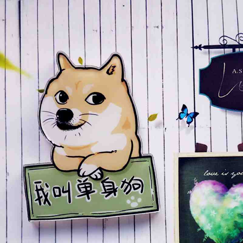 1Pcs Cool Dier Pictogram Mode Broche Acryl Badge Cartoon Hond Pin Kids Birthday Party Decoratie Op Rugzak Hoed sjaal: Transparant