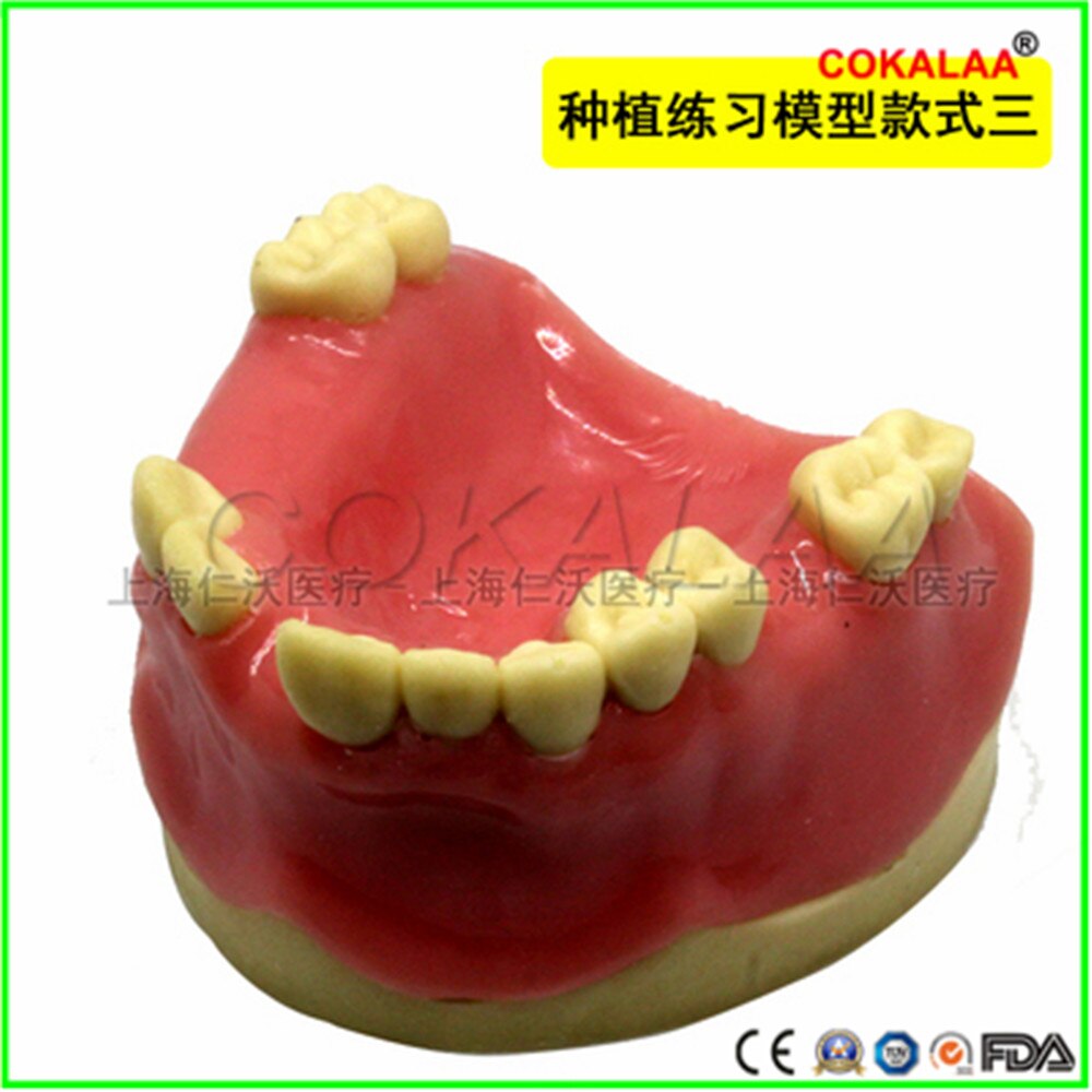 Matériel dentaire de bonne , modèle dentaire pour implant oral, chirurgie du sinus maxillaire, équipement pour les gencives souples, 1 pièces: C