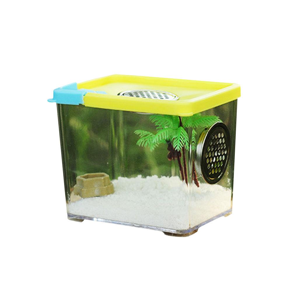 Akryl krybdyr fodring kasse gennemsigtig insekt boks bede firben krybdyr hjem insekt bur krybdyr terrarium edderkop avl kasse: 10.5 x 8 x 9cm
