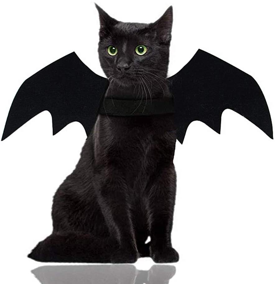 Halloween kattdräkt för katter hundar sällskapsdjur fladdermusvingar katt hund fladdermus kostym vingar (små)klä upp sällskapsdjur tillbehör fest sällskapsdjur kostym