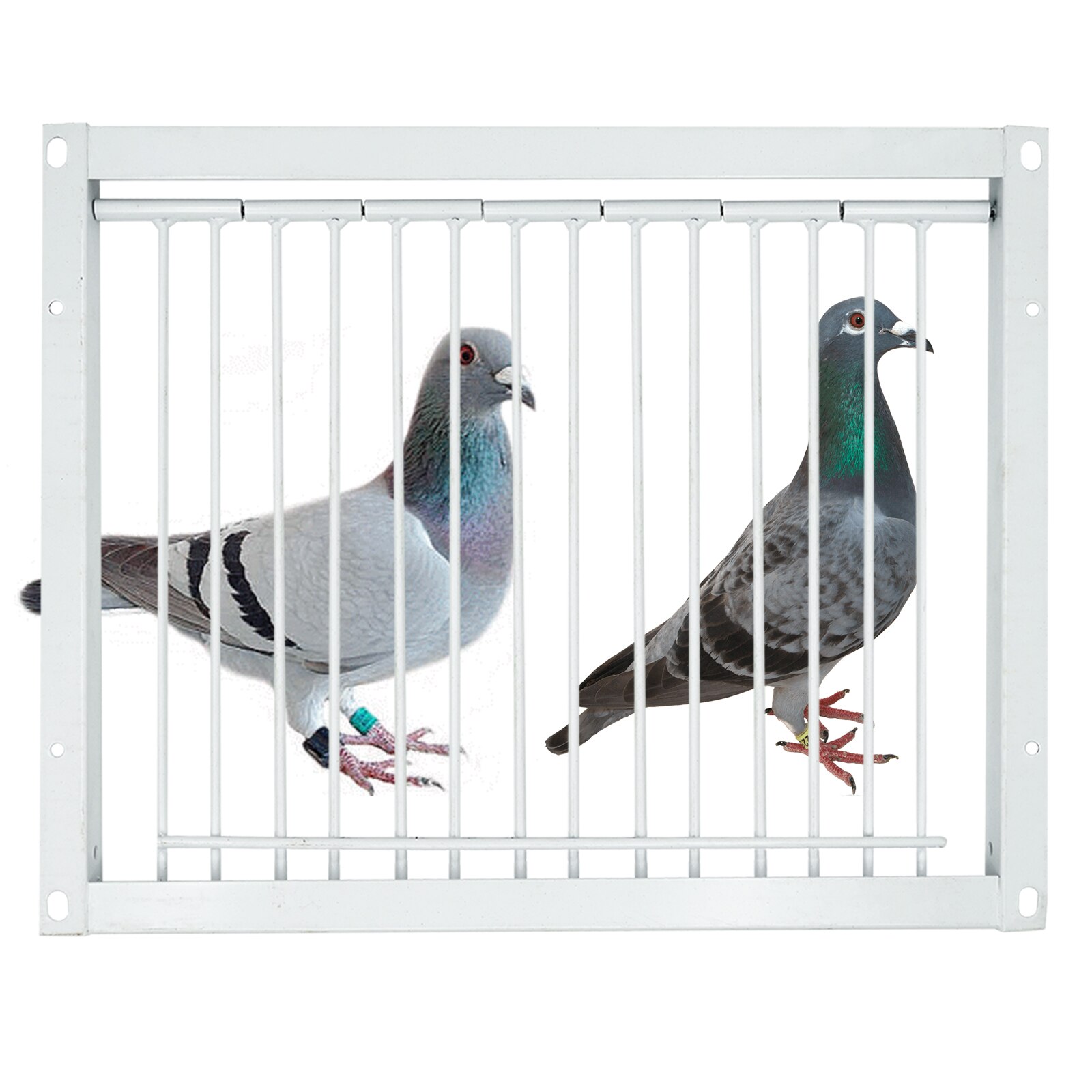 Pigeon Door Metal Wire Bars Frame Entrance Trapping Doors Loft Animal Birds Supplies Catching Bar Entry Curtain Removable
