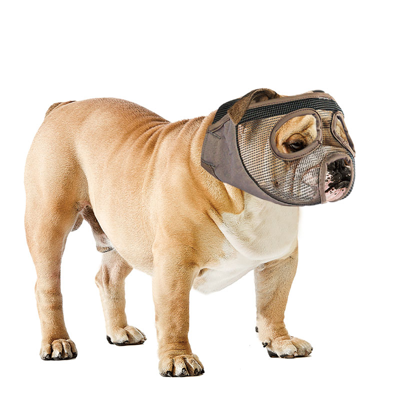 Korte Snuit Hond Muilkorf Masker Comfortabel Ademend Verstelbare Mesh Hond Muilkorf Voor Franse Bulldog Anti Stop Blaffen Levert