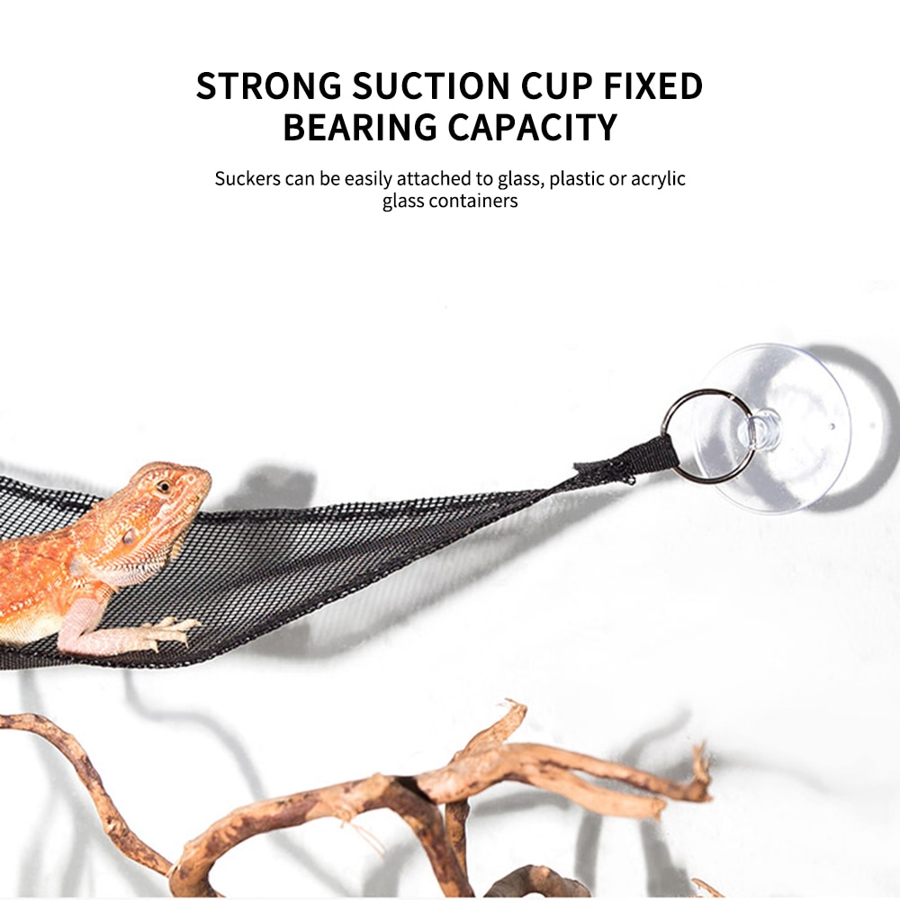 Reptiel Hangmat Ligstoel Ladder Accessoires Set Voor Grote Kleine Bebaarde Draken Gekko Hagedissen Of Slangen