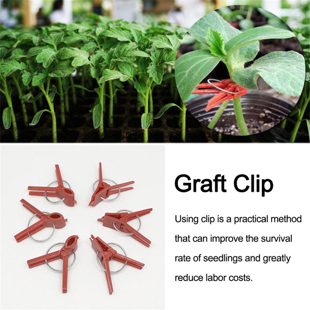 Clips de plástico para injertos, 100 unidades, para jardín, flor vegetal, tomate, vid, arbustos, plantas, duradero, 40P