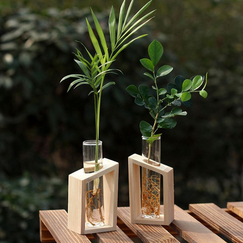 Reagensglasvase i krystalglas i trestativ blomsterpotter til hydroponiske planter hjem haven dekoration