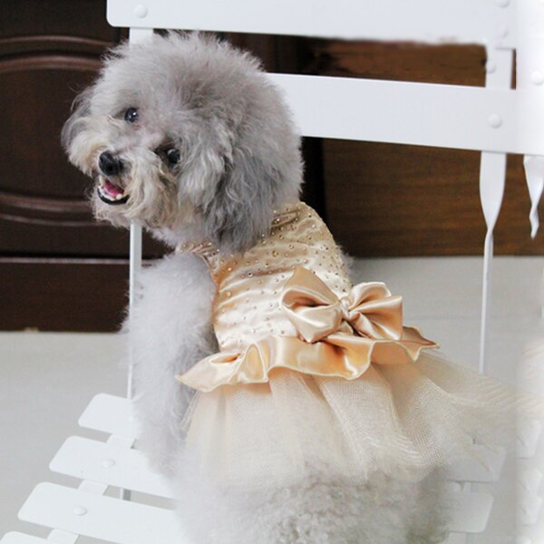 Vestidos de princesa para perros, ropa de perro de colores de alta luminosidad, vestido de princesa con tutú y lazo, falda para de boda, ropa para mascotas, superventas: Plata / XL