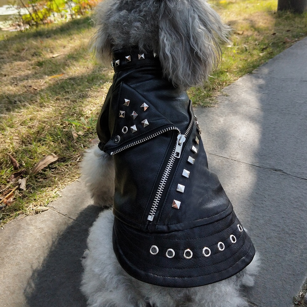 Cool hundejakke fransk bulldog hvalp hundetøj kæledyrsfrakke chihuahua mops kæledyr hunde tøj til små mellemstore hunde hvalpe outfit