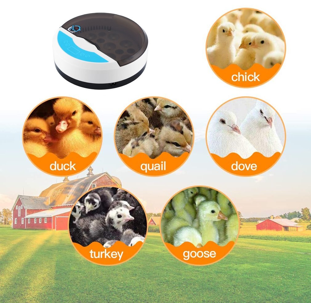9 Egg Incubator Farm hatching Incubator automatic Digital Temperature Humidity Control LED Bird Eggs incubator