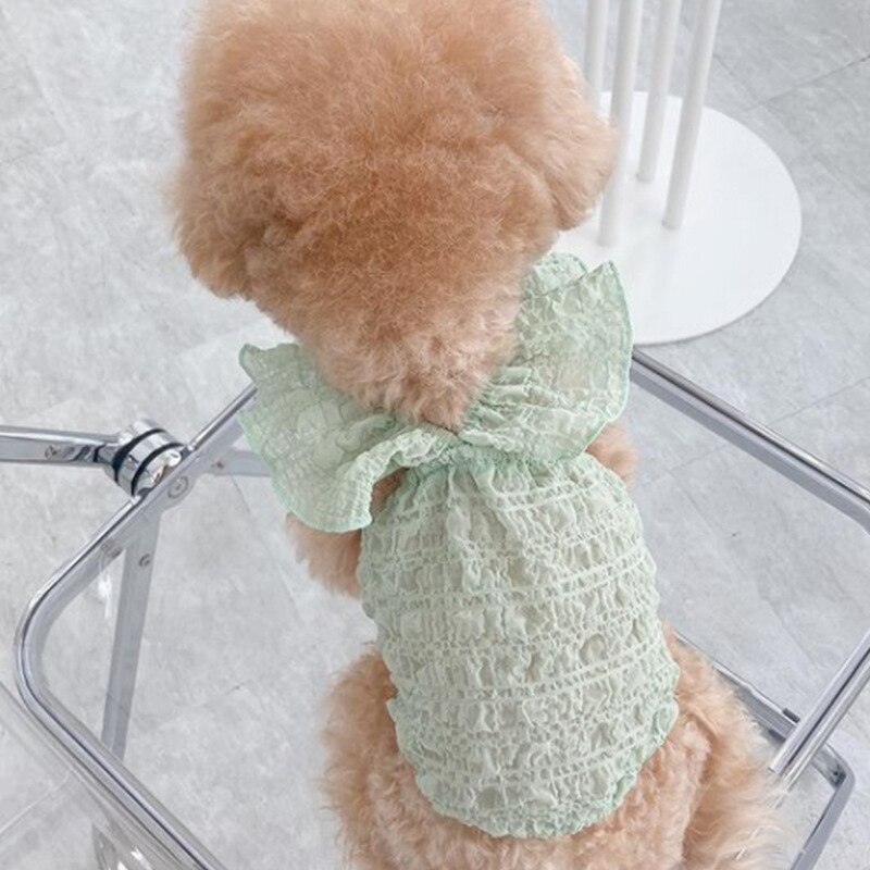 Vêtements pour animaux de compagnie, couleur Macaron, tissu plissé, jupe pour chien, chiot, petit gabarit, gilet à manches papillon, Chihuahua Perro,: 02 / 0.5-1.5kg