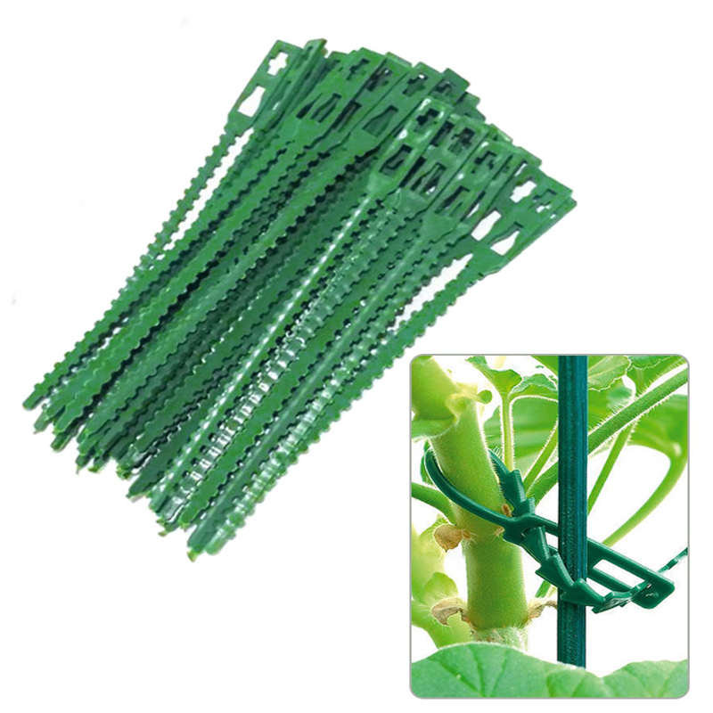 30/50/100/200 stücke Wiederverwendbare Garten Nylon Kabelbinder Anlage Unterstützung Bush Verschluss Baum Schloss Nylon Einstellbare Kunststoff garten Kabel