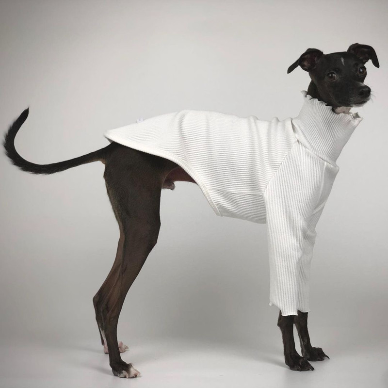 Puhdas väri kaksijalkaisen koiran vaatteet vinttikoira whippet koiran vaatteet koiran takki joustava mukava koiran pyjama