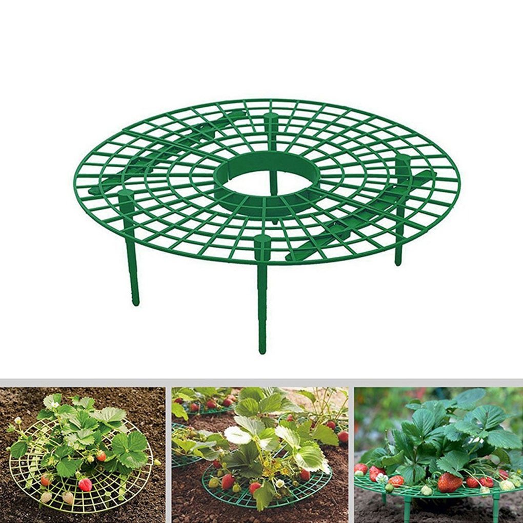 Fraise Support cadre Support balcon Support de plantation fruits Support plante fleur escalade vigne pilier Support jardinage Support