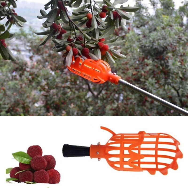 Haveværktøj frugtplukker udenfor frugt cathcer frugtindsamling havearbejde plukkeværktøj uden stang orange frugtfanger