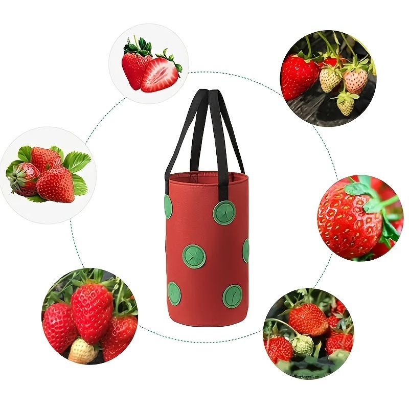 Bolsa de cultivo de tomate colgante de fieltro multifunción con 13 agujeros, macetero de fresa, verduras, flores, bolsas de cultivo de plantas, maceta de jardín