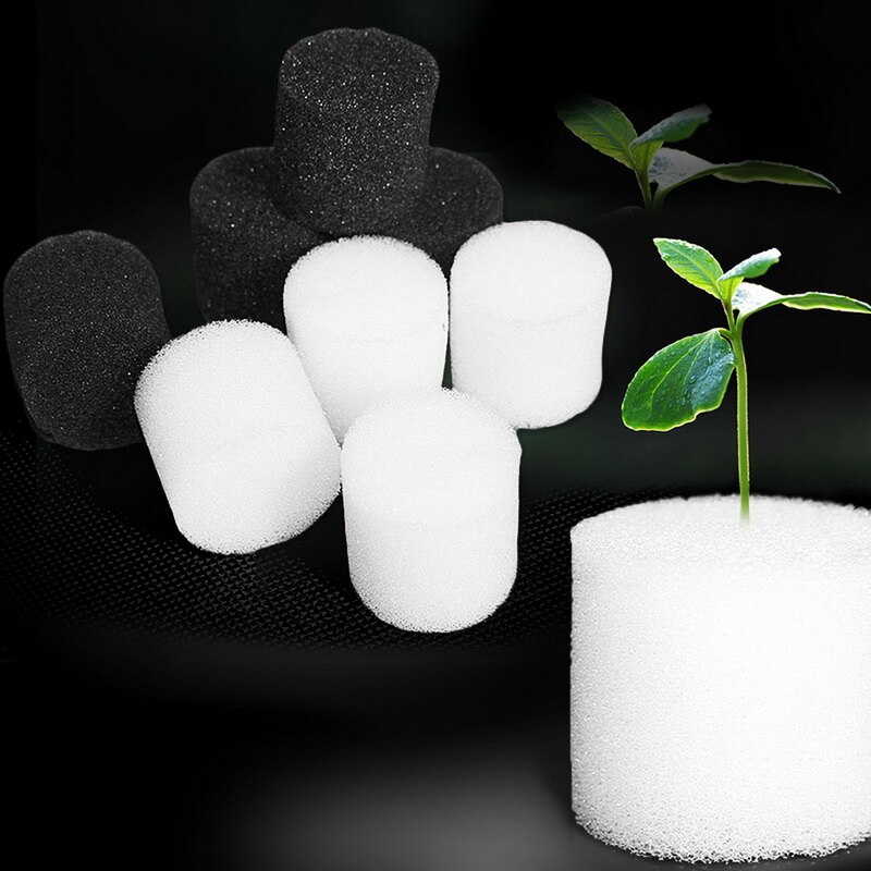 Semillas de vivero, esponja para plantas, esponjas de germinación, herramientas de cultivo sin jabón, 50 Uds.