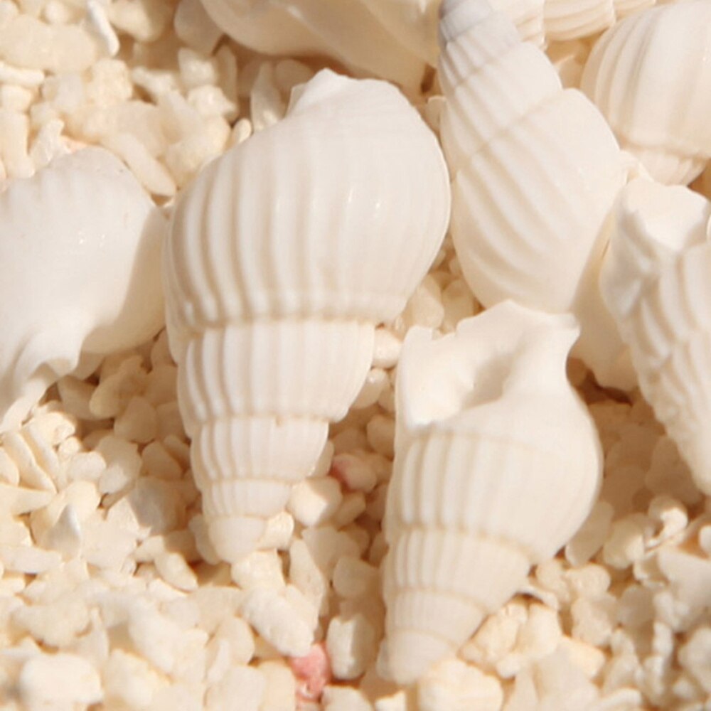 100pcs White Mini Sea Shell Conches Craft Wedding Garden Aquarium Decoration
