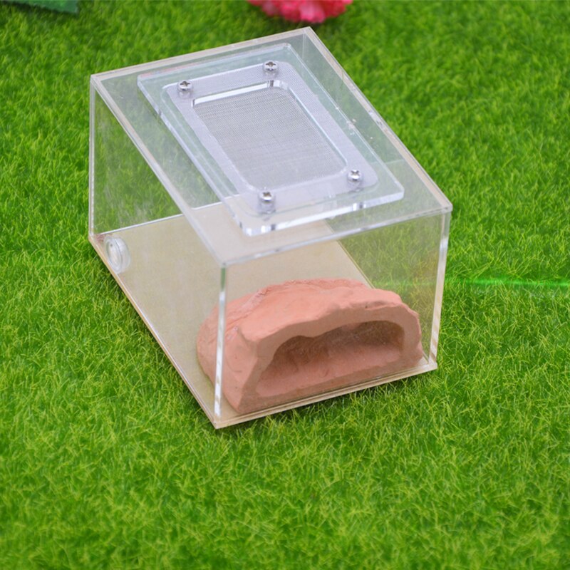 Imitation Ecological Ant Farm DIY Plaster Rockery Pet Ant Castle Landscaping Workshop Home Ants Farm House: SF-A002