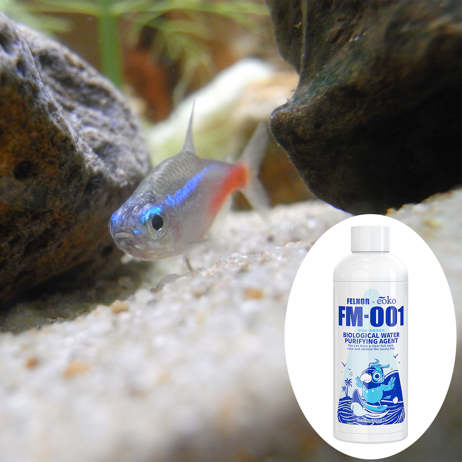 Comprimés de climatiseur d'eau d'aquarium, accessoires de nettoyage adaptés aux aquariums et aux aquariums