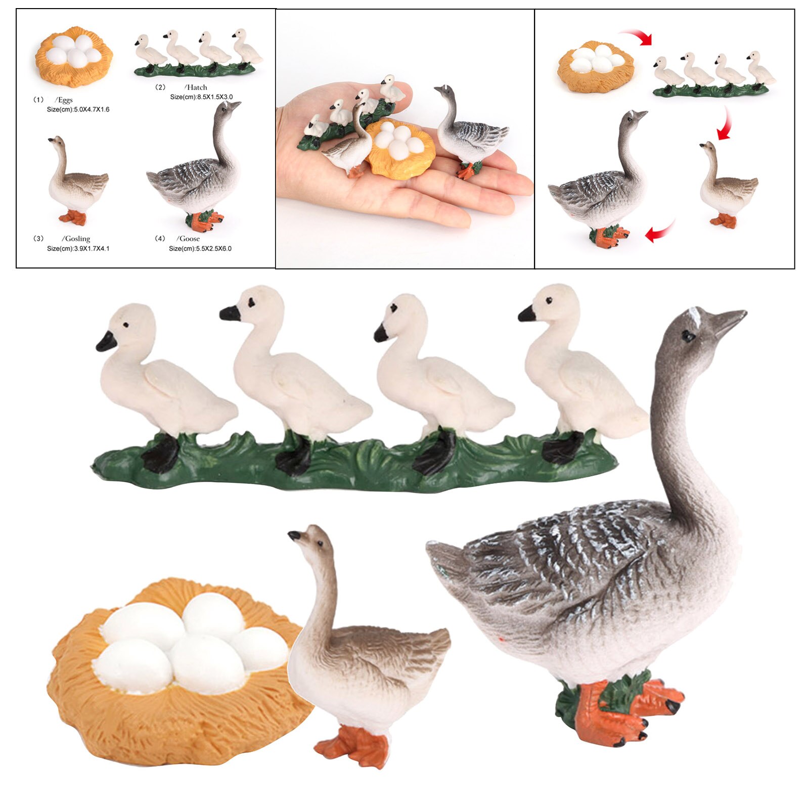 Growth Cycle Model Toys Life Cycle of Goose Animal Figure Model Education Toys