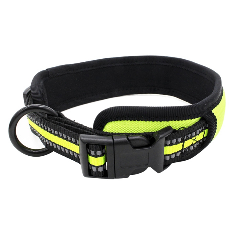 Huisdier Halsband LED Light Night Veiligheid Dierbenodigdheden Insert Gesp Honden Reflecterende Lint Kraag Puppy Ketting