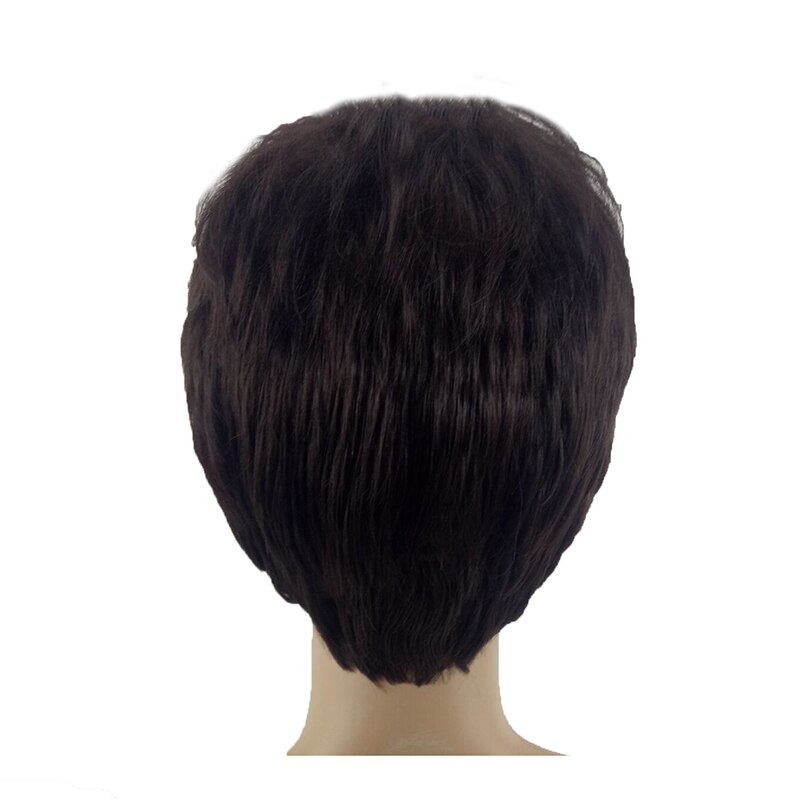 HAIRJOY Synthetic Hair Wigs Men Short Straight Wig Heat Resistant 4 Colors Available