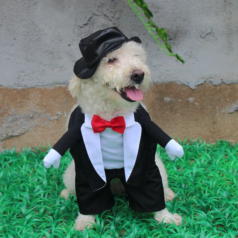 [MPK Store] Wedding Gown for Dogs, Beautiful Dog Wedding Dress, Pet Wedding Costume: Black / XS