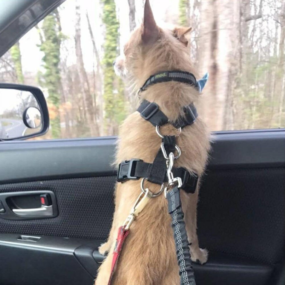 Huisdier Auto Reflecterende Elastische Gordel Hond Auto Kussen Eeat Riem Hond Keten Multifunctionele