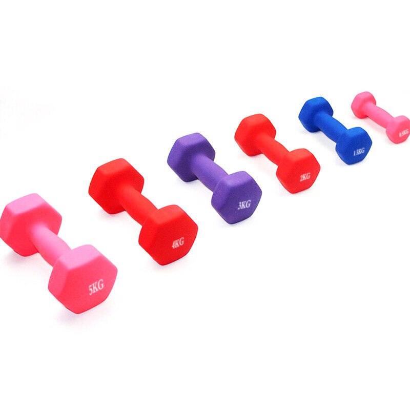Conjunto de halteres 0.5kg, suporte de halteres para academia e exercícios, fitness, feminino e masculino, para treino, levantamento de peso, academia