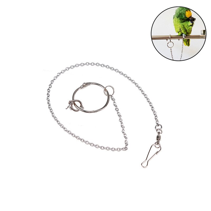 Anillo de acero inoxidable para pierna de loro y pájaro, cadena de soporte para tobillo, accesorios de entrenamiento al aire libre, suministros para aves, 1 unidad, #5 #7 #8