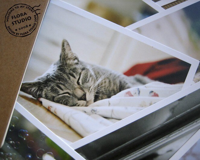 28 Stks/partij Vintage Leuke Katten Postkaarten Groep Mooie Kat Serie Jaar Wenskaart Ansichtkaart