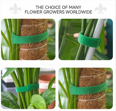 Tutores para plantas, planta autoadhesiva, atado de cables de nailon, soporte para plantas trepadoras, cinta de sujeción verde, cuidado reutilizable, suministros de jardín