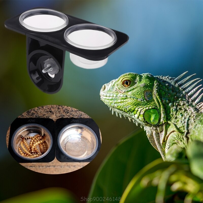 Gallery image with a fresh perspective