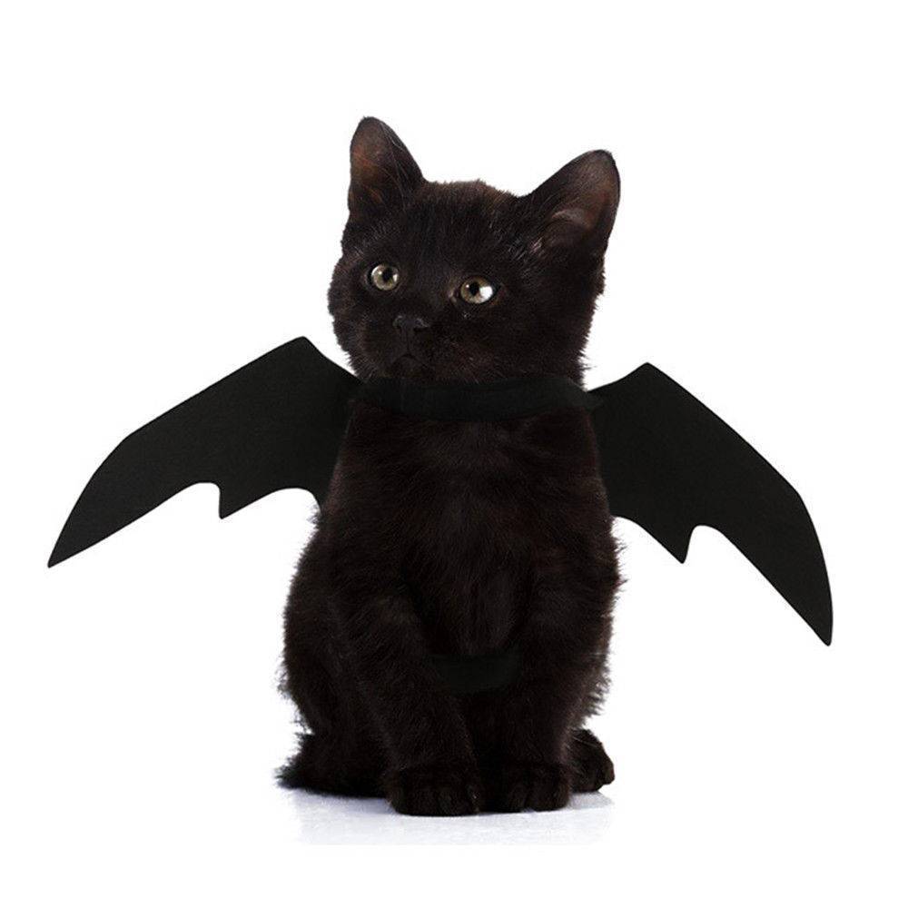 Halloween Hond Kostuums Vleermuis Vleugels Zwart Leuke Fancy Dress Up Halloween Pet Hond Kat Puppy Kostuum Zwart