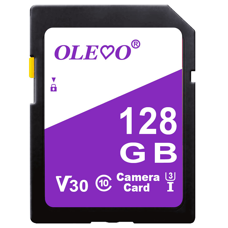 SD Memory Card SD Card 32GB 64GB 256GB 512GB Class10 UHS-1 Flash Ultra 128GB For Camera SRL DVD: 128 GB