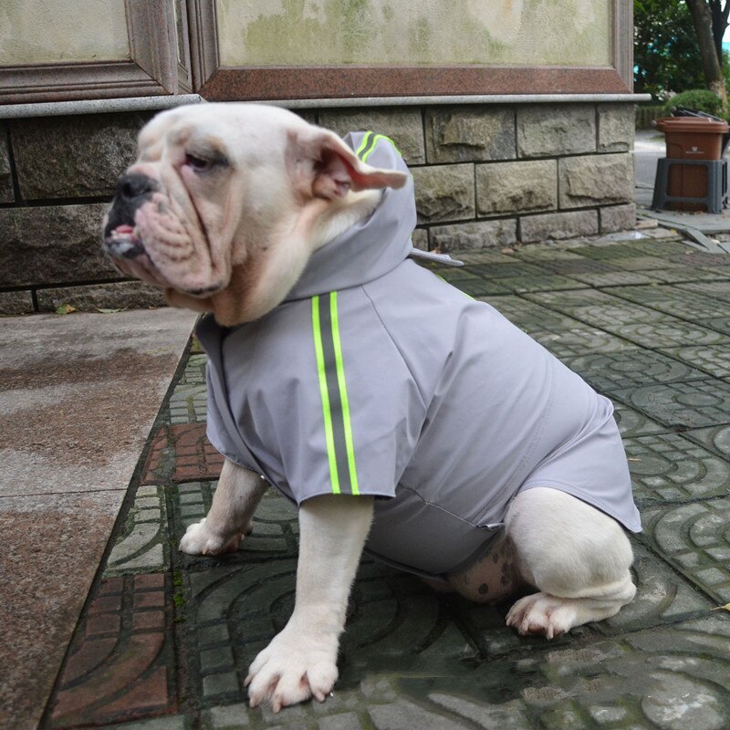 Französisch Bulldogge Regenmantel Mops Hund Kleidung Englisch Bulldogge Grube Stier Terrier Amerikanischen Bully Pitbull Kleidung Wasserdichte Mantel Outfit: grau / B-XL