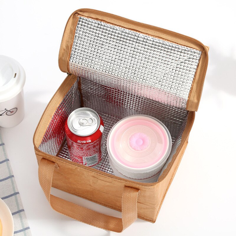 Opvouwbare, herbruikbare, waterdichte lunchtas van papier, 6l kraftpapieren lunchtassen voor dames en heren, milieuvriendelijke aluminium picknicktassen