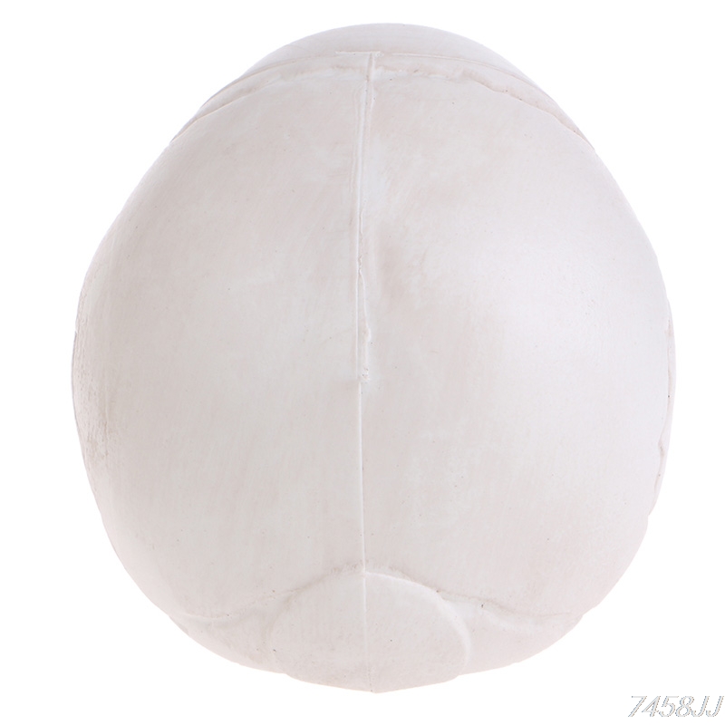 Mini crâne humain en plastique, accessoire de décoration de tête de squelette, ornement de bar à café pour Halloween, directe G22