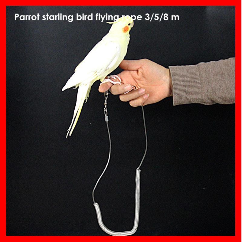 Huisdier Touw 3 Size Elastische Extension Papegaai Vogelkooi Stands Vogel Touw Duurzaam Staaldraad Lente Fly Een Wandeling Spelen buiten