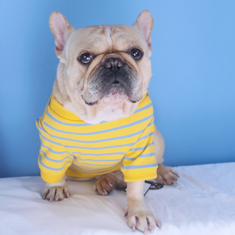 Tijger Hond Franse Bulldog Katoen Geel Streep T-shirt Hond Kleding Voor Corgi Teddy Small Medium Honden Puppy Outfit Huisdier Kleding