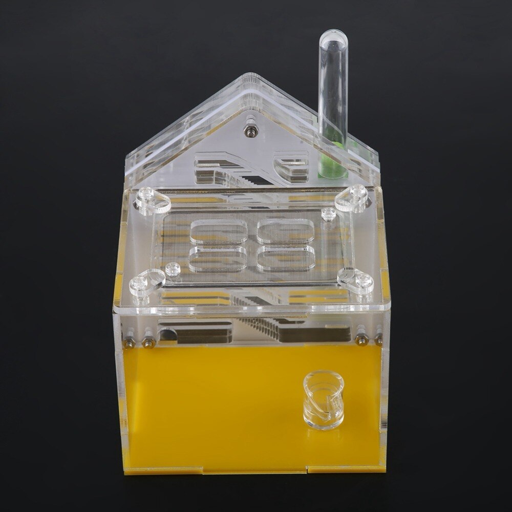 DIY with feeding area Ant Farm with Feeding Ant Nest Villa Insect Pet Anthill Workshop
