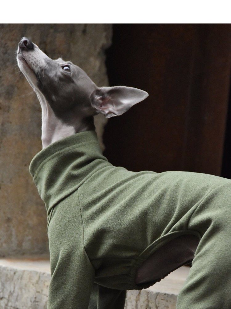 Fahison Whippet lévrier italien vêtements de luxe coton chien Jammies hiver col roulé Stretch vêtements pour animaux de compagnie