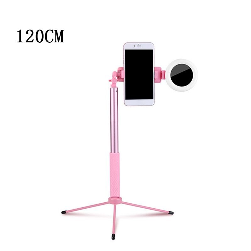 Ring Light with Stand for Vlogging Video Make-up Selfie USB Powered Selfie Stick: 1.2m pink