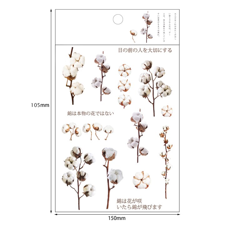 Kokorosa12 Designs Natural Daisy Clover Japanese Words Stickers Transparent PET Material Flowers Leaves Plants Deco Stickers: Army Green
