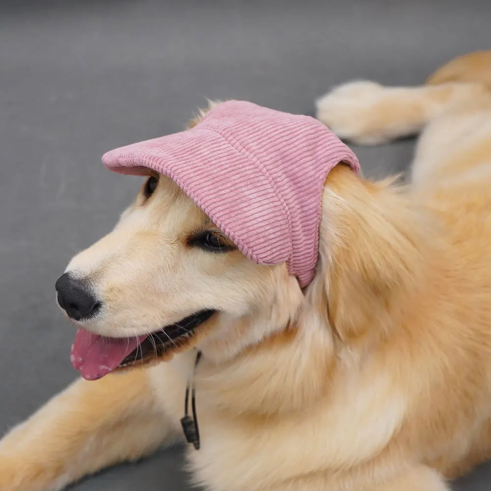 Casquette pour chien avec trous d'oreille, chaîne réglable pour chiens et chats, casquette à visière d'extérieur, chapeau de Sport d'été pour chiots, petits, moyens et grands chiens