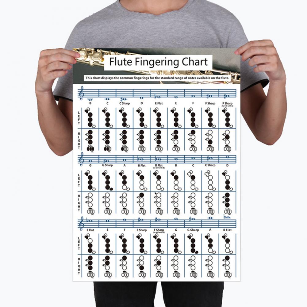 Gitarfløyte akkord fingertabell fingertabell fløyteøving sammenligningstabell for gitar nybegynnere tainning