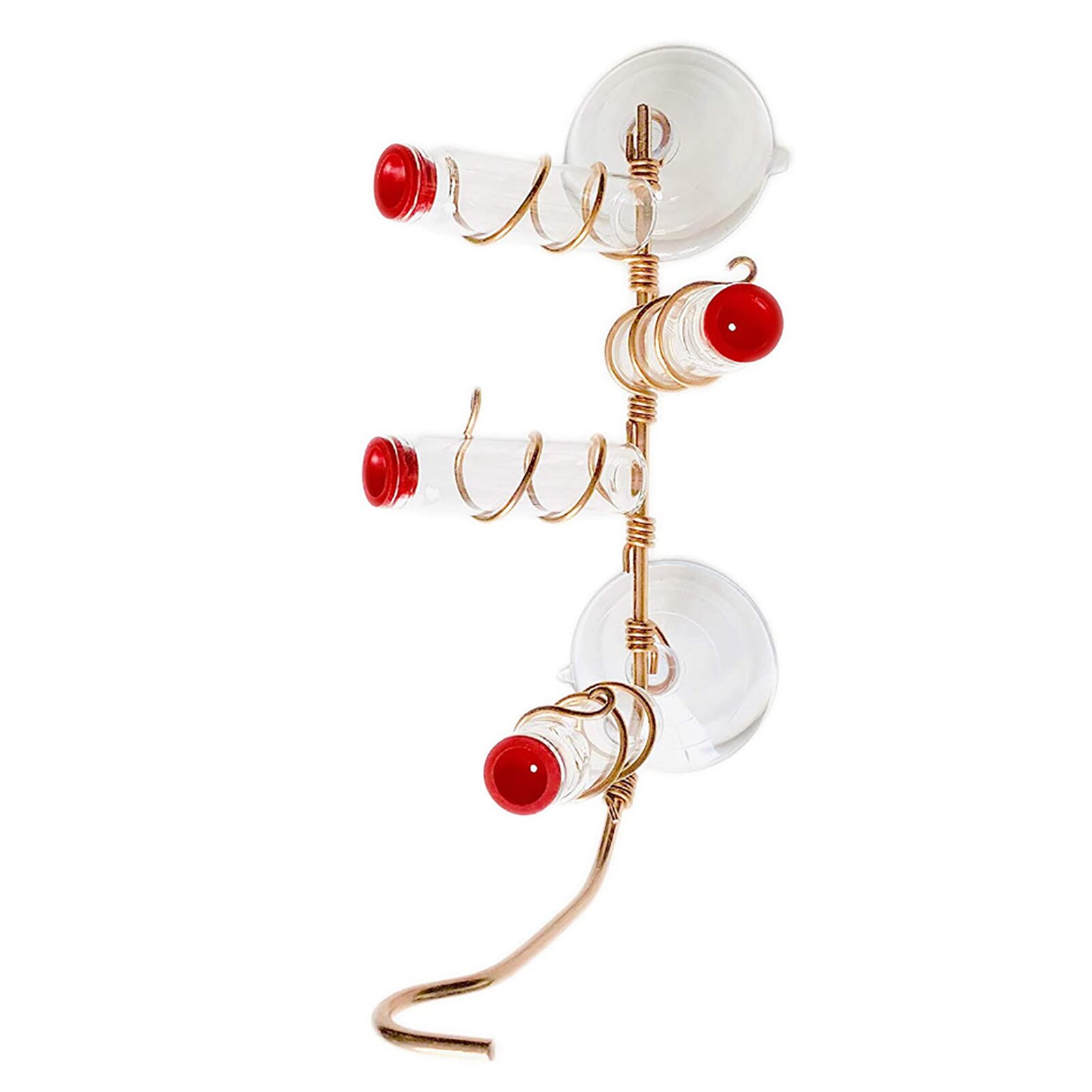 Innovative Suction-cup Hummingbird Feeder Parrot Lovebird Pigeon Hanging Viewing Feeding Tool Container Pet Supplies Accessories: D