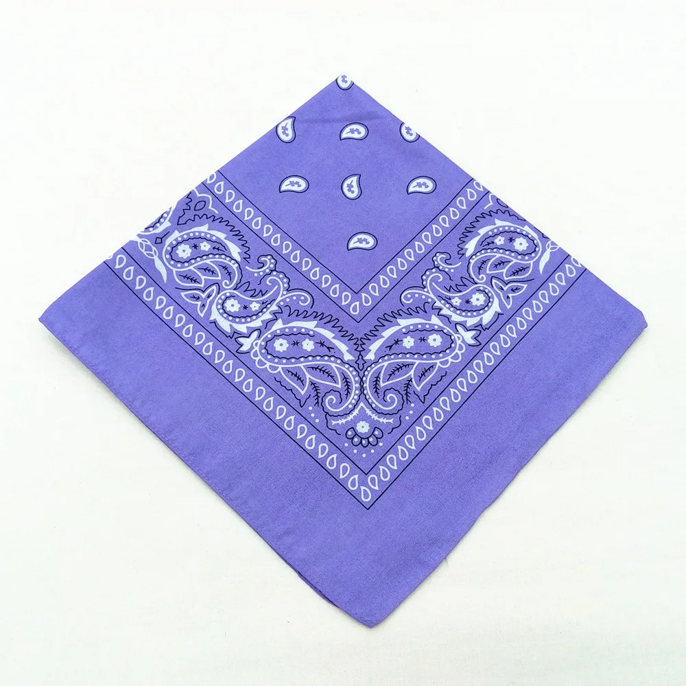 Unisexe hommes femmes Bandana bandeau Cowboy hommes motard sport chapeaux poignet bandeau simple face tête enveloppement écharpe Paisley: BLEU CIEL