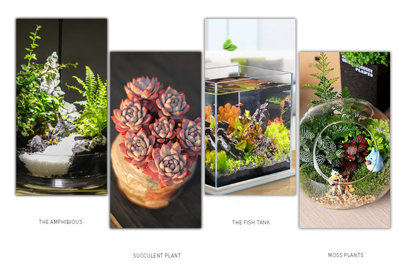 Mikro landskab plante lampe led lys wabikusa mini nano natur træ akvarium vand plante vokse led lys